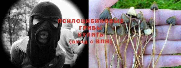 ГАЛЛЮЦИНОГЕННЫЕ ГРИБЫ Арсеньев