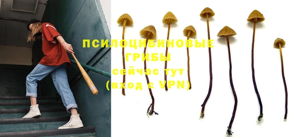 ГАЛЛЮЦИНОГЕННЫЕ ГРИБЫ Арсеньев