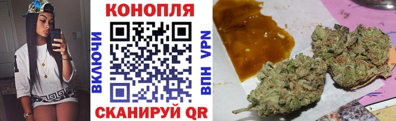 купить наркотик  mega как войти  Бошки марихуана индика  Таруса 